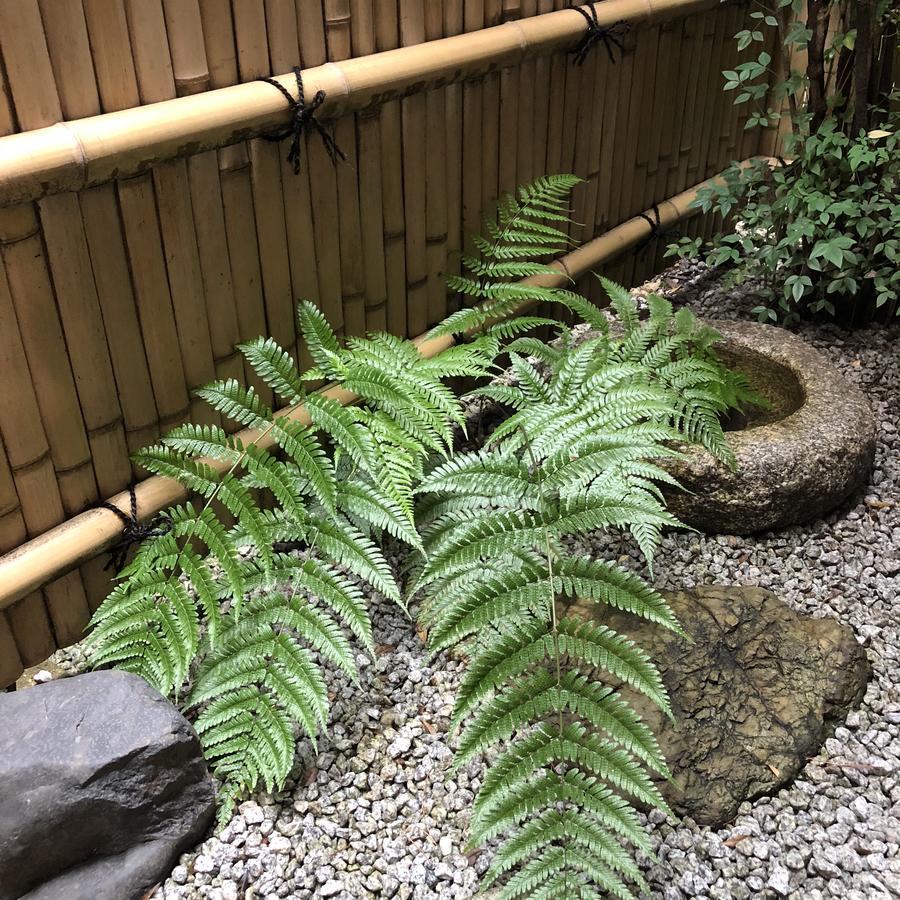 Naokonoza Omiya Gojo Villa Kyoto Exteriör bild